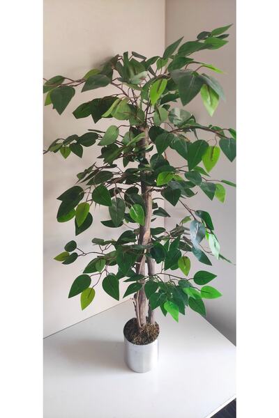 RUZGARCİCEK Rüzgar Çiçekcilik 1 Metre Metal Saksıda Benjamin Ağacı