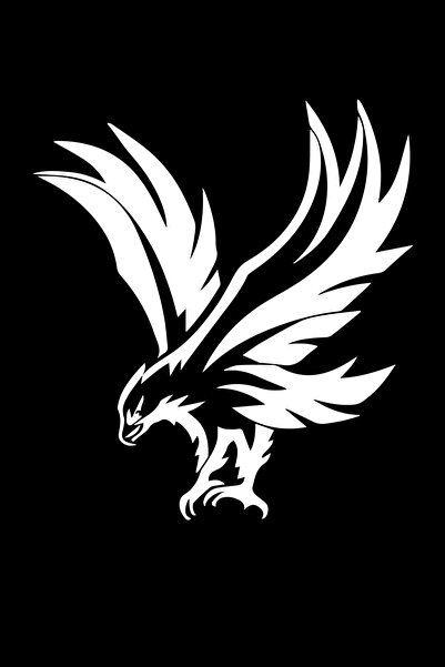 MegaSticker Uçan Kartal Oto Sticker, Motorsiklet Sticker, Kask Sticker 14x12 Cm