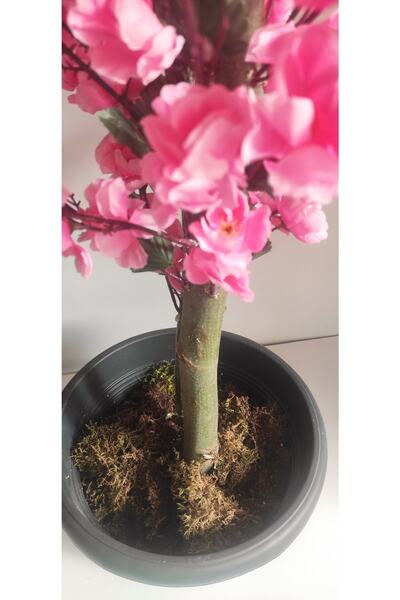 RUZGARCİCEK Rüzgar Çiçekcilik 180 Cm Pembe Bahardali