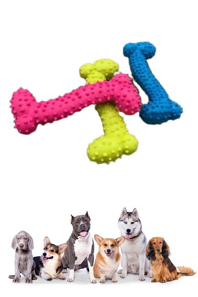 Buffer Serrated Surface Small Bone Plastic Dog Toy