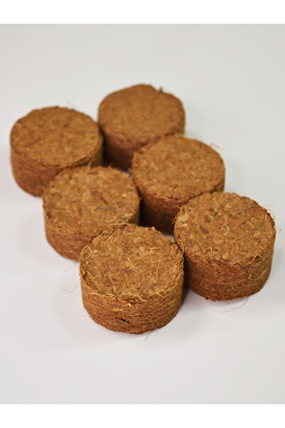 Katre Bahçe 6 Adet 30 Mm Doğal Hindistan Cevizi Sıkıştırılmış Toprak Diski Kokopit Cocopeat Torf