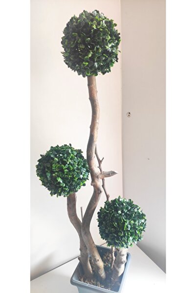 RUZGARCİCEK Rüzgar Çiçekcilik 110 Cm Plastik Saskida 3 Lü Top