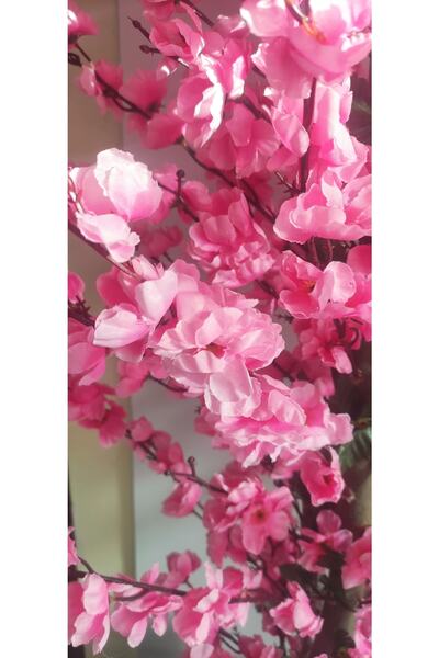 RUZGARCİCEK Rüzgar Çiçekcilik 180 Cm Pembe Bahardali