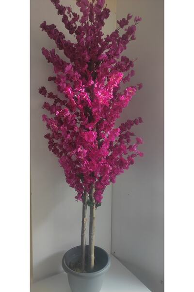 RUZGARCİCEK Rüzgar Çiçekcilik 180 Cm Mor Bahardali