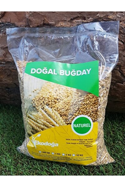 Asenya 3 Lü Set 500 Gr Buğday Tohumu + 500 Gr Tane Arpa Tohumu + 500 Gr Yulaf Tohumu