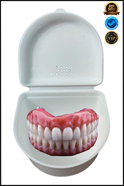 OverPazar Diş Protez Kutusu Protez Diş Kutusu Tooth Prosthesis Box