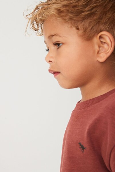 Next Baby Cotton Rust Brown Top and Bottom Set