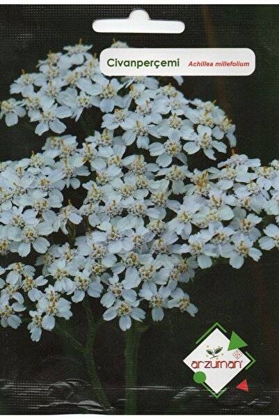 Arzuman Tohum Civanperçemi Tohumu