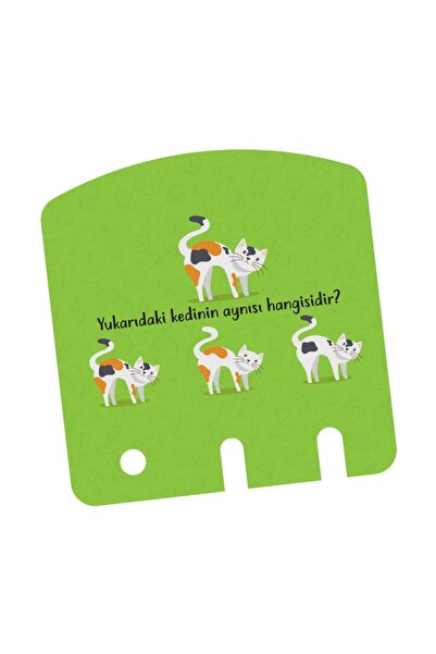 yükselen zeka Zeka Kutusu (16-24 Ay)