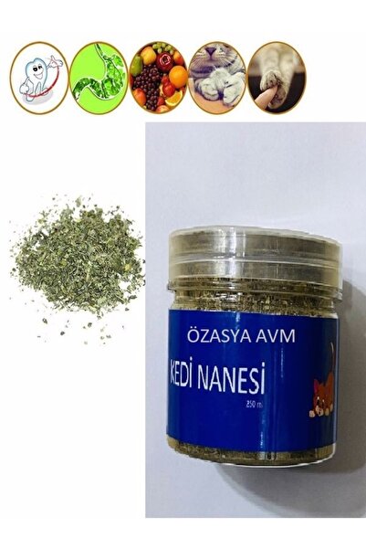 Özasya AVM Kedi Nane Otu 82 gr