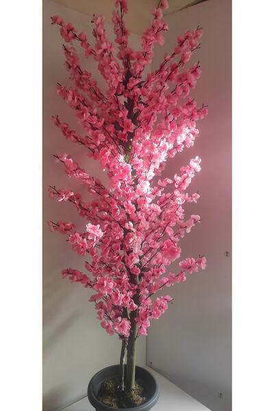 RUZGARCİCEK Rüzgar Çiçekcilik 180 Cm Pembe Bahardali