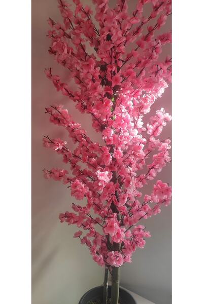 RUZGARCİCEK Rüzgar Çiçekcilik 180 Cm Pembe Bahardali