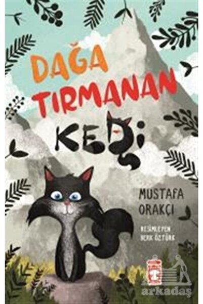 Timaş Çocuk قطة تسلق الجبال
