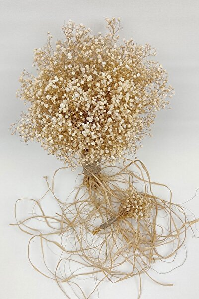 Hobigram Krem Kurutulmuş Dondurulmuş Cipso Gelin El Buketi Ve Damat Yaka Çiçe...