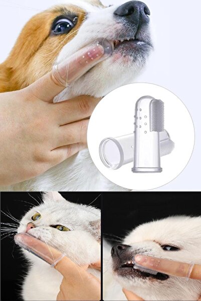 BİTERSE 1 Adet Silikon Parmağa Takılan Kedi Köpek Diş Kaşıma ve Fırçalama Aparatı