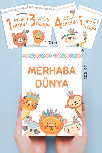 By Nur Erten 13 Pieces Newborn Baby Boy Monthly Photo Shoot Memory Card, Baby Gift, Baby Photo Shoot