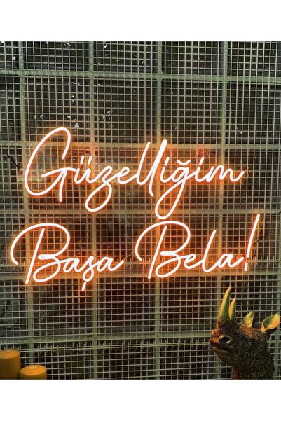 dekoraven Güzelliğim Başa Bela Yazılı Neon Led Tabela Dekoratif Aydınlatma(50...