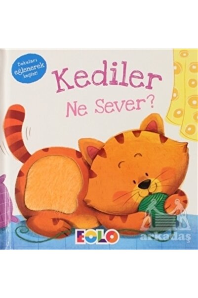 Eolo Yayıncılık What Do Cats Like?