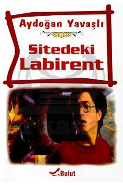Bulut Yayınları Sitedeki Labirent