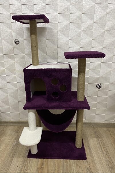 Cathause Kedi Tırmalama Evi