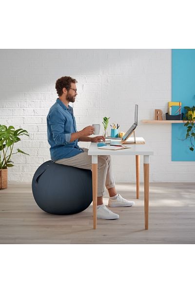 Leitz Ergo Cosy Active Sitting and Pilates Ball Gray - Corrects Posture and Relieves Back Pain (+ Pump)
