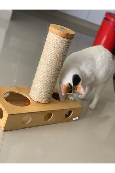 Nursoft Scratching with Toy Nr-0052