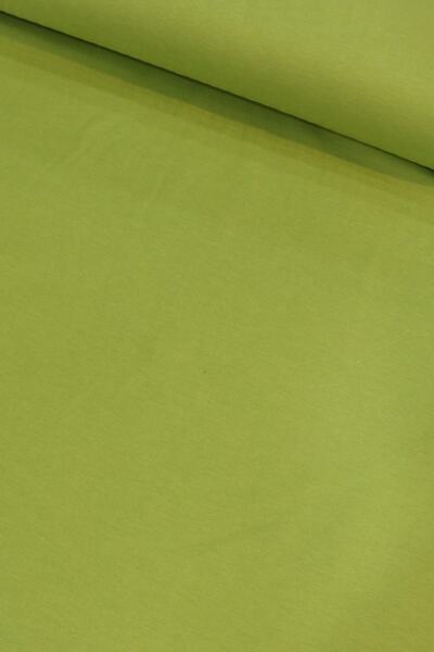 Premier Elma Yeşili Duck Keten Kumaş-prmr Dry3067