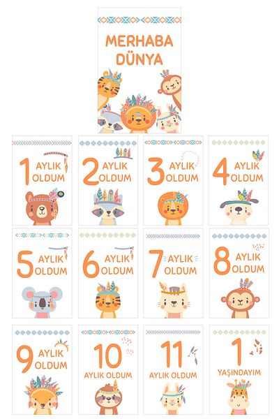 By Nur Erten 13 Pieces Newborn Baby Boy Monthly Photo Shoot Memory Card, Baby Gift, Baby Photo Shoot