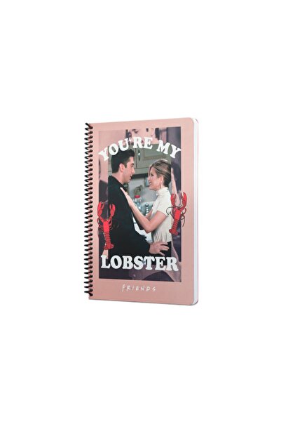 Mabbels Friends Youre My Lobster Spiralli Not Defteri Pembe 80 Yaprak Kareli ...