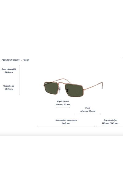 Ray-Ban Sunglasses 3957920231 52