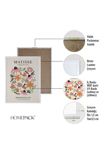 HOMEPACK Beyaz Lamine Çerçeveli 5'li Tablo Seti Beşli-030