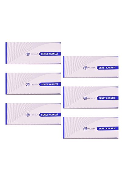 Gülpaş 148 Carnet de facturi 50 coli Copertă carton 6 buc
