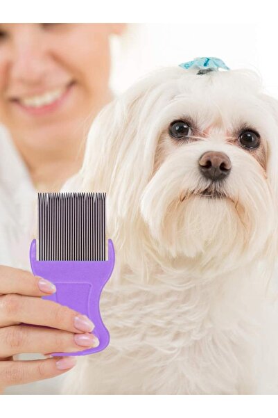 MUJGAN Kedi Köpek Bit Tarağı Mor