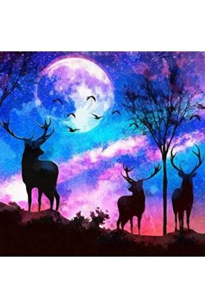 kendinyaphobi Sayılarla Boyama Seti Çerçeveli Kasnaklı 3 Dost 40x50 Cm