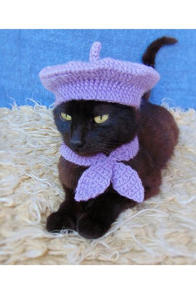ayörme Organic Cat Dog Knitted Neck Collar Hat Set Holder Combination