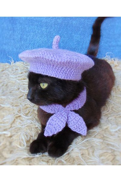 ayörme Organic Cat Dog Knitted Neck Collar Hat Set Holder Combination