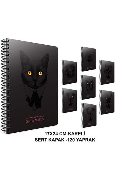 Gıpta Glow Notes Spiral Hard Cover Notebook 17x24cm 120 Sheets (2 Pieces)