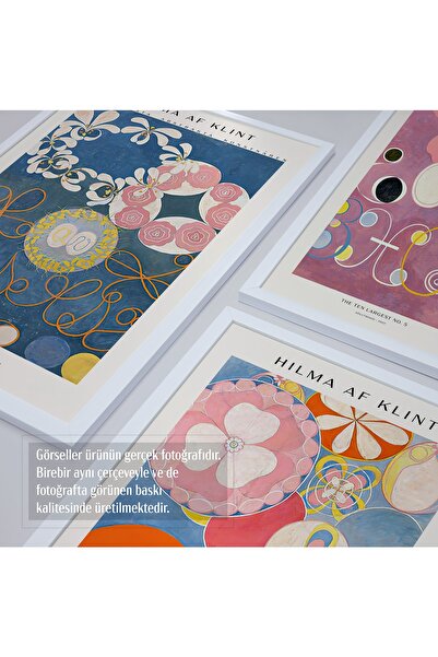 HOMEPACK Beyaz Lamine Çerçeveli 5'li Tablo Seti Beşli-025