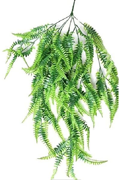 RUZGARCİCEK Plantă decorativă de florărie cu vânt de iederă, plantă agățătoar...