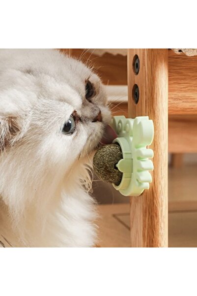Mia Luxurious Crab Model Cat Herb Play Ball