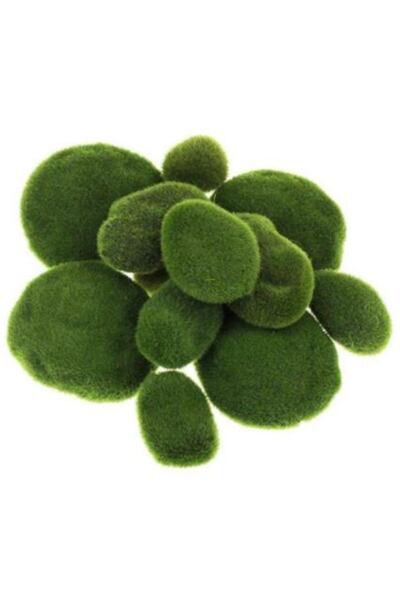 RUZGARCİCEK Rüzgar Çiçekcilik Kaya Yosunu