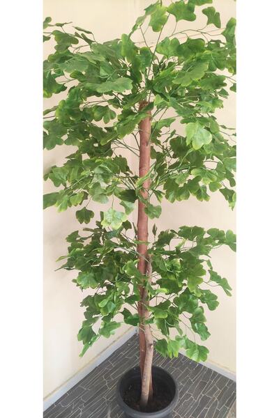 RUZGARCİCEK Rüzgar Çiçekcilik 180 Cm Sakura Ağacı