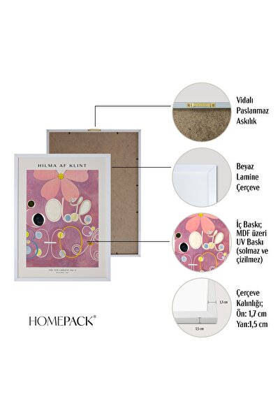 HOMEPACK Beyaz Lamine Çerçeveli 5'li Tablo Seti Beşli-025