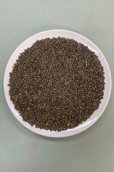 aktarix 10 Kg Fiğ Tohumu 1.kalite