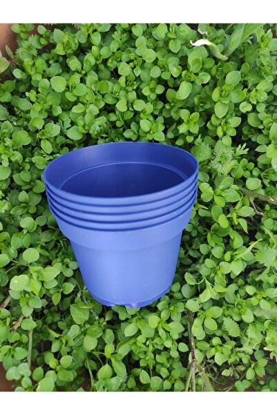 Atölye Öğretmenim Üretim Saksısı Lacivert Renkli 6 Adet