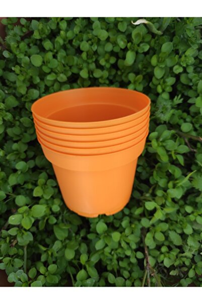 Atölye Öğretmenim Üretim Saksısı Turuncu Renkli 6 Adet