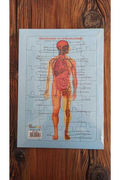Anadolu Vücudumuz Ve Organlarımız Karton Puzzle