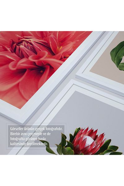 HOMEPACK Σετ ζωγραφικής 5 τεμαχίων με λευκό πλαστικοποιημένο πλαίσιο Hpn010