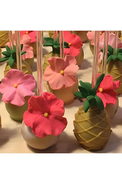 Big Party Cake Pops Stick Transparent 14 Cm 12 Pieces