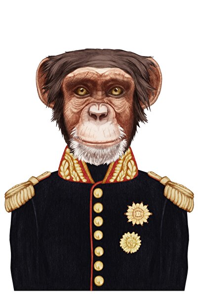 RUGSMODERN Kanvas Tablo General Kıyafetli Maymun Hayvan Temalı 157